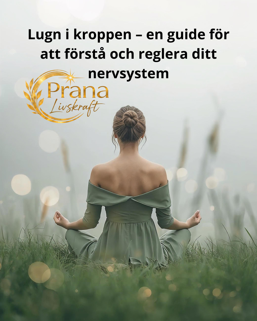 Lugn i kroppen en guide för att förstå och reglera ditt nervsystem pdf-fil