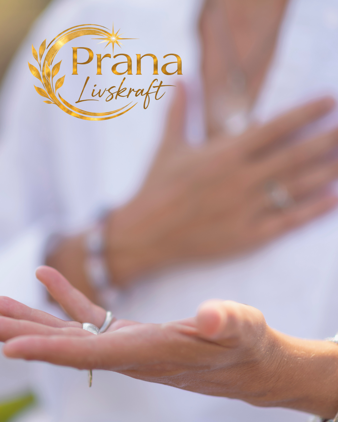 Meditation för nybörjare, en enkel guide pdf-fil