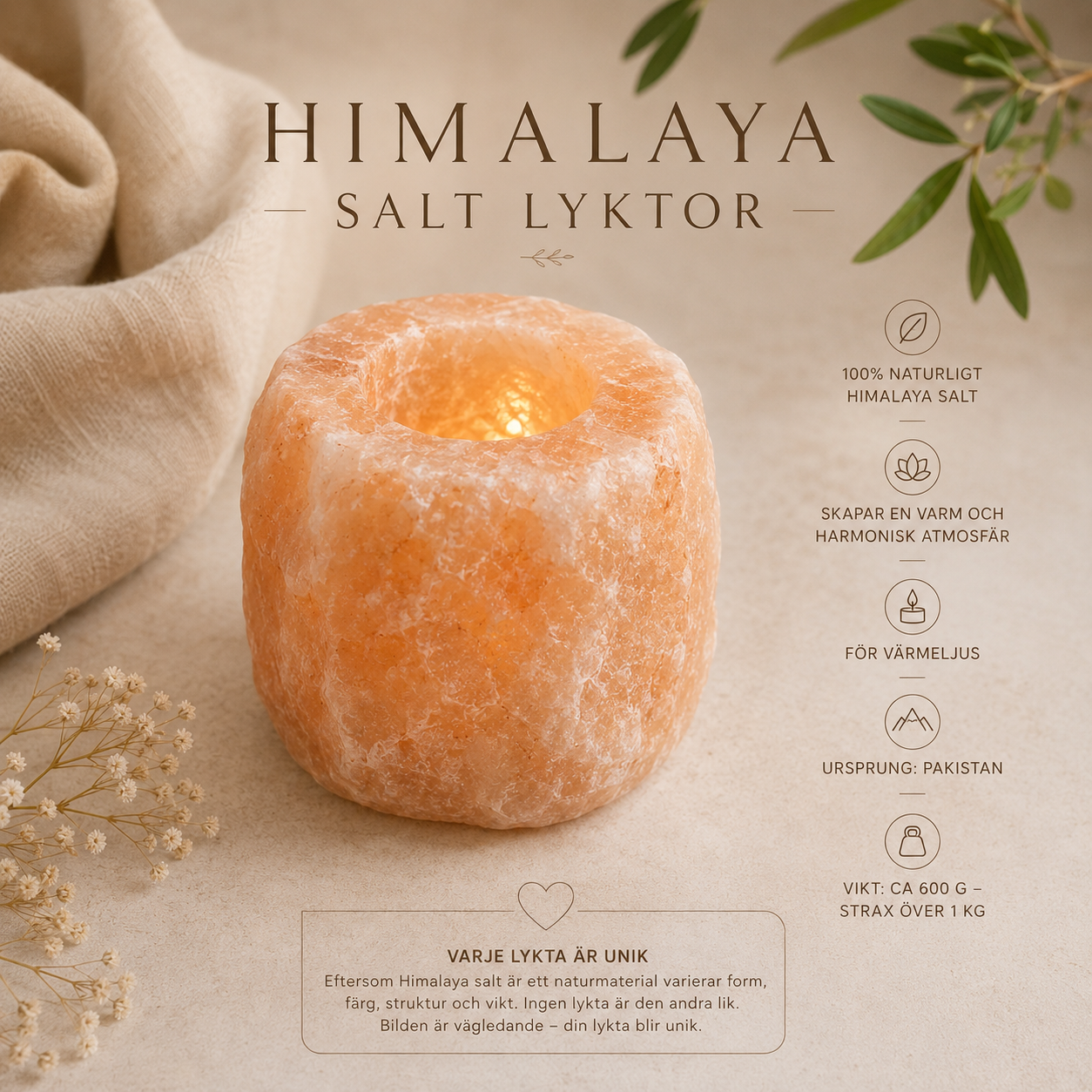 Himalaya Saltlykta