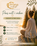 Paus mitt i veckan (Endast 27 maj)